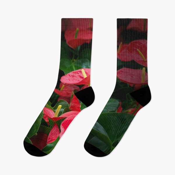 Item preview, Anthuriums designed and sold by Sally Wall.