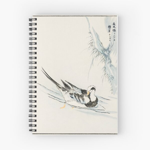 Artikelvorschau, langschwänzige Wildente und Klippe Abbildung 43380647051 entworfen und verkauft von Bird-Lore.