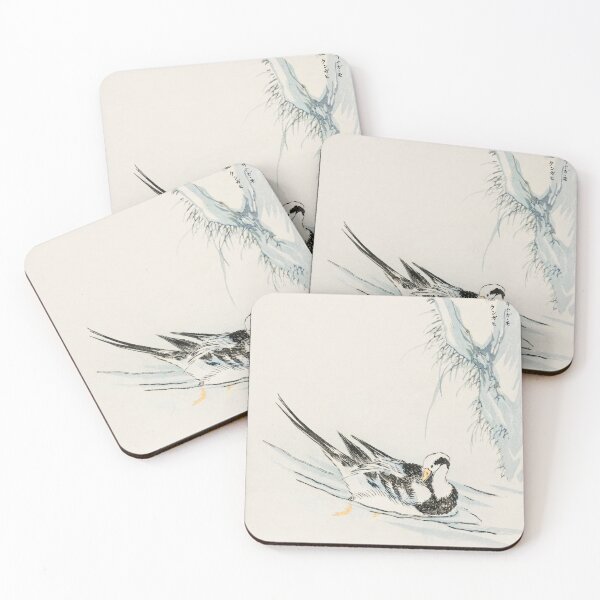 Item preview, long tailed wild duck and cliff illustration 43380647051 designed and sold by Bird-Lore.
