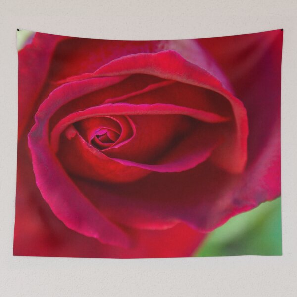 Item preview, Red Rose Macro designed and sold by Steven Jodoin.