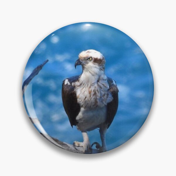 Item preview, Trina bird designed and sold by Ovahill.