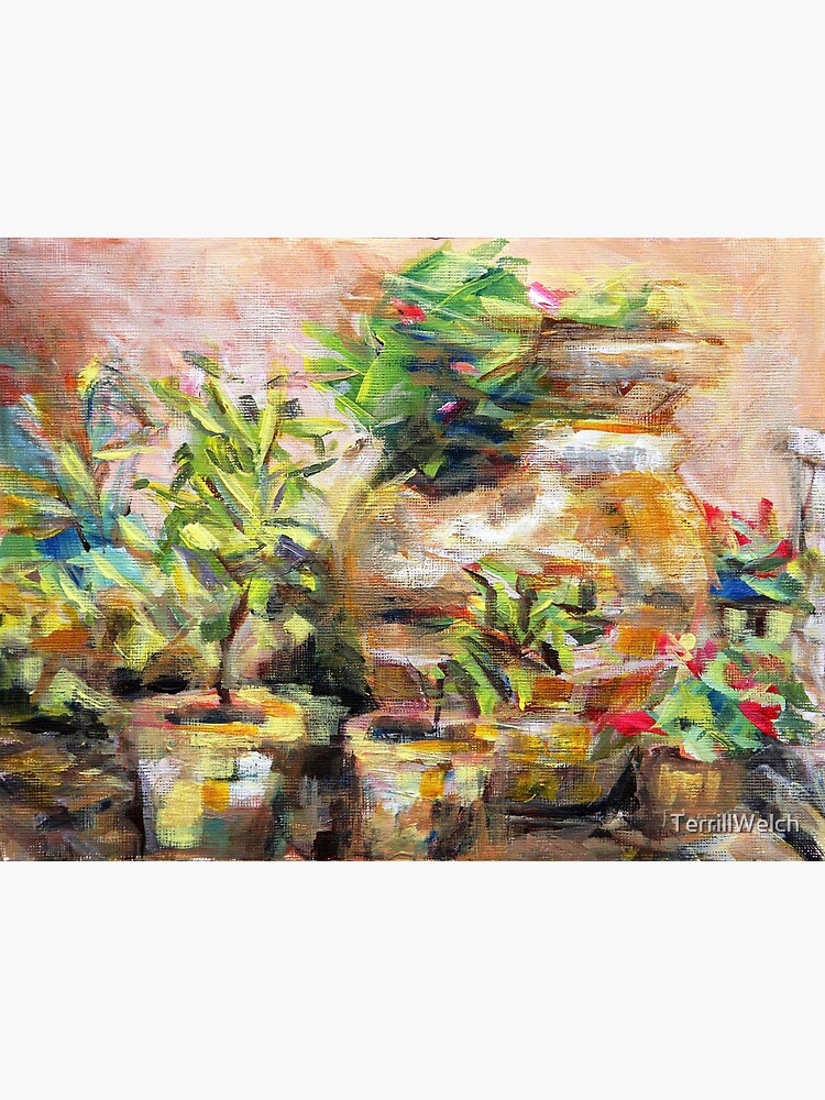 Garden Pots by TerrillWelch