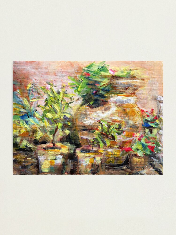 Alternate view of Garden Pots Photographic Print