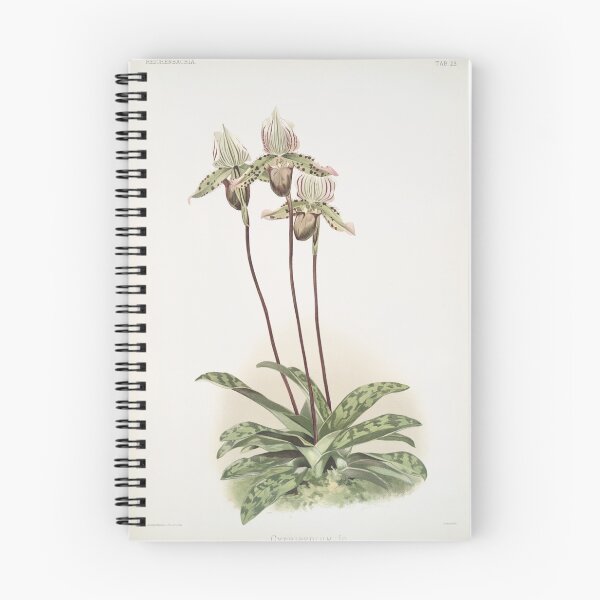 Item preview, Reichenbachia: Orchids Illustrated and Described designed and sold by EsotericBotanic.