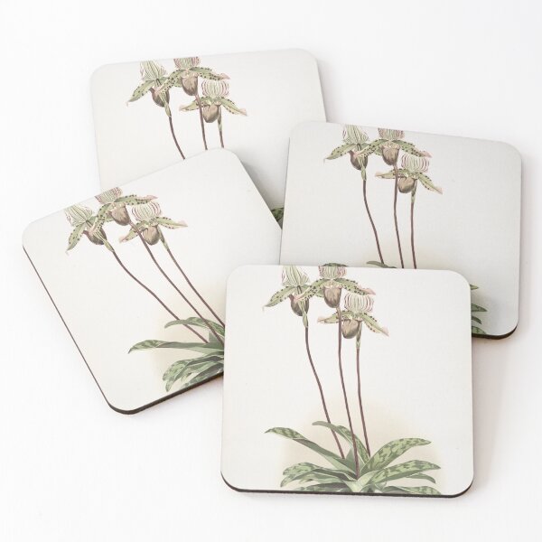 Item preview, Reichenbachia: Orchids Illustrated and Described designed and sold by EsotericBotanic.