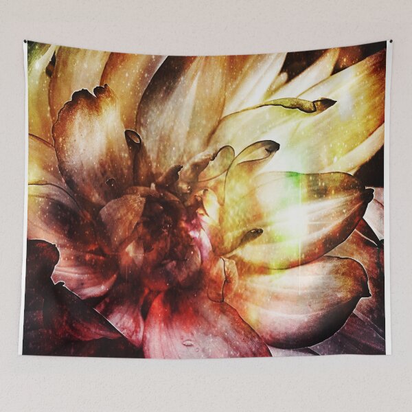 Item preview, Fire Flower designed and sold by PhrozenPhotos.