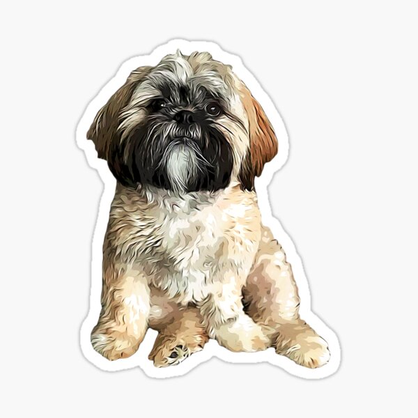 Shih tzu outlet merchandise