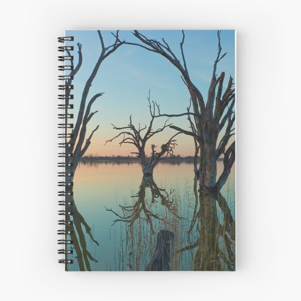 Item preview, Lake Bonney designed and sold by Robert Sturman.