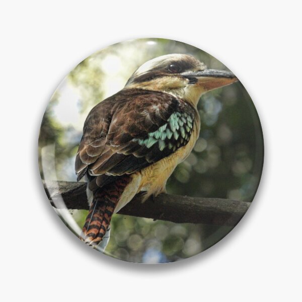 Item preview, KOOKABURRA designed and sold by shadowlea.