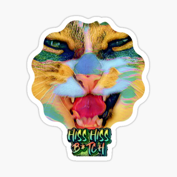 Hiss Funny Cats Kittens Stickers Iron On Stickers Heat Transfer