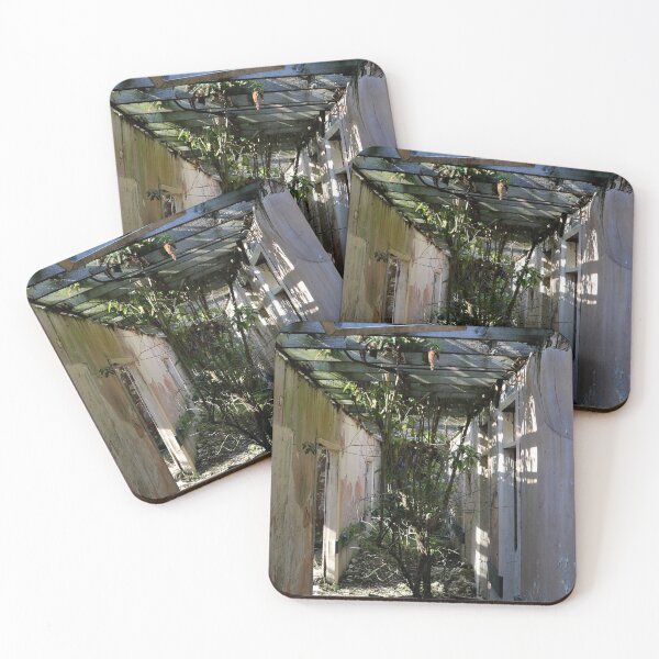 Item preview, Urban Takeback - Nature Returns - RAF Nocton Hall Hospital, Lincoln, Lincolnshire, England  [236] designed and sold by BeautonFashions.