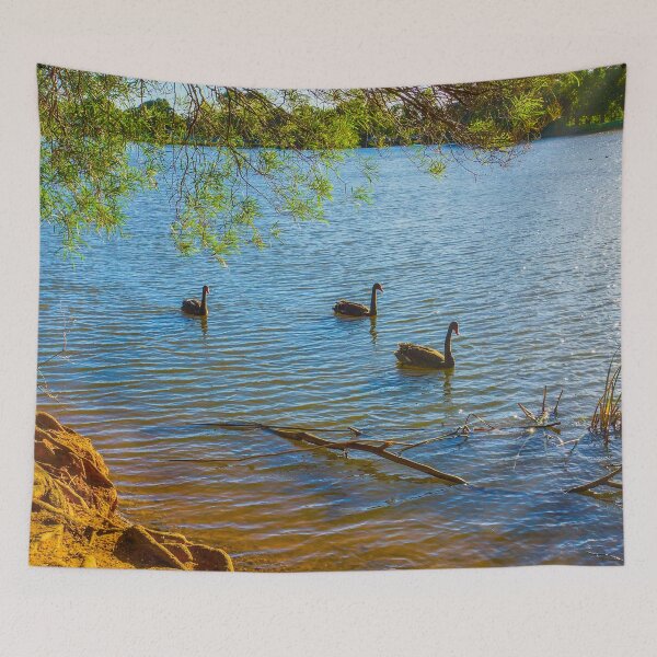 Item preview, Cygnets turn to Black Swans at Lake Weeroona Bendigo designed and sold by Steven Jodoin.