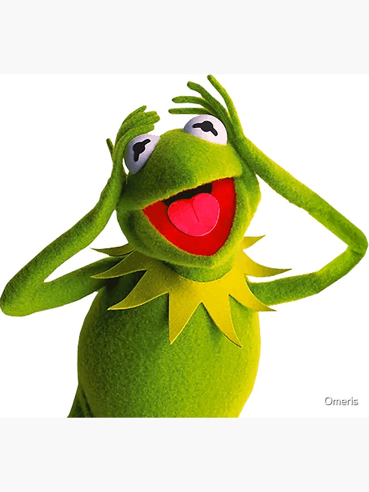 Kermit the frog surprised meme | Magnet