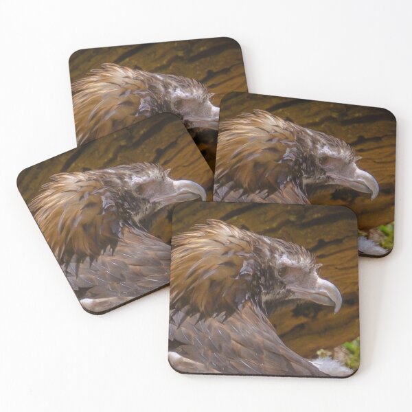 Item preview, Wedged-Tailed Eagle on the Lookout designed and sold by Steven Jodoin.