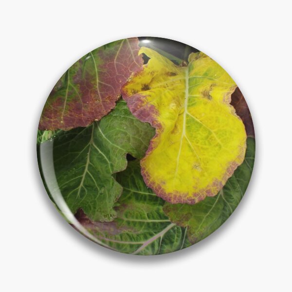 Item preview, Brassica Dressed in Leaves designed and sold by MeyrellesMartin.