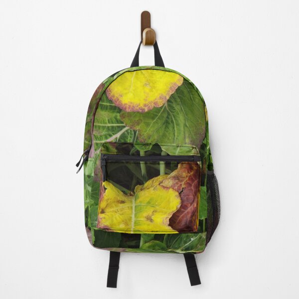 Item preview, Brassica Dressed in Leaves designed and sold by MeyrellesMartin.