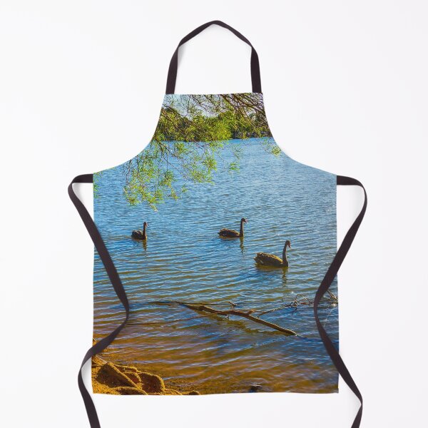Item preview, Cygnets turn to Black Swans at Lake Weeroona Bendigo designed and sold by Steven Jodoin.
