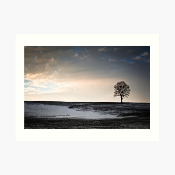 Lonesome Tree On A Hill III Art Print