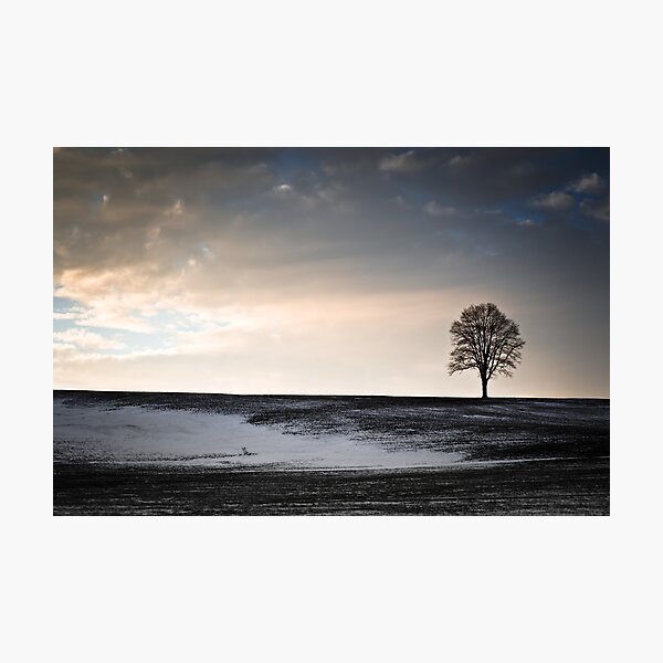 Lonesome Tree On A Hill III Photographic Print