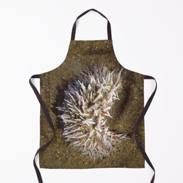 Item preview, Little Urchin designed and sold by MeyrellesMartin.