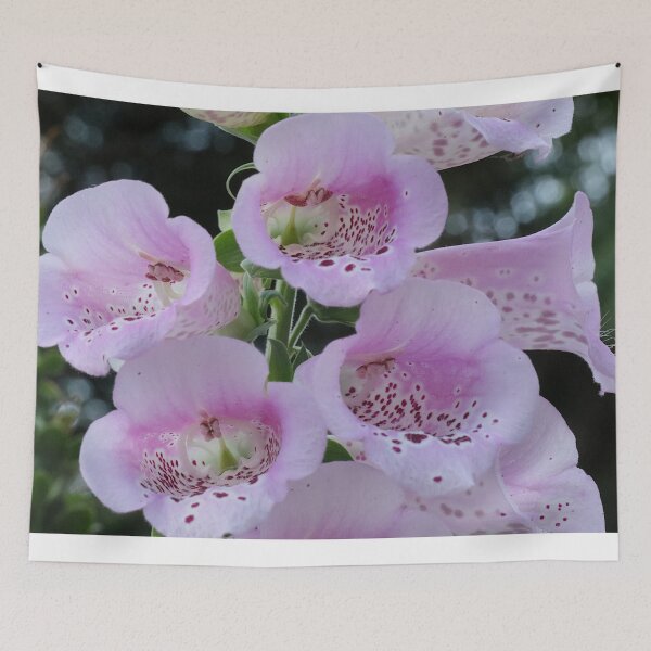 Item preview, Foxgloves  designed and sold by Geoff Treagus.