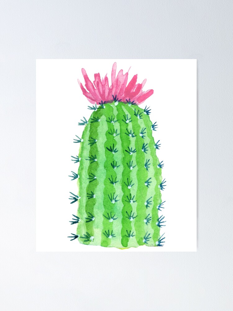 Póster «Planta de desierto de cactus verde brillante con dibujo de flor  rosa» de Rodrigo-Novelo | Redbubble