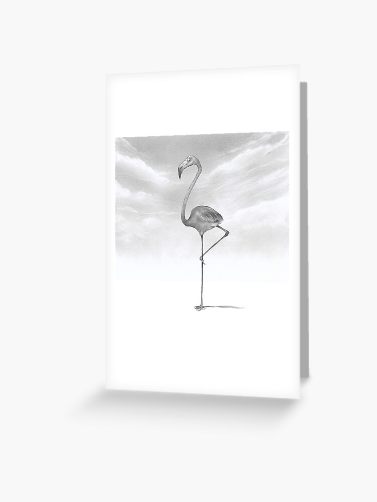 Details 208+ flamingo anime best - toyotabienhoa.edu.vn