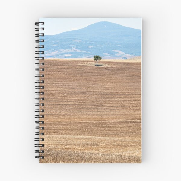 Item preview, Tree in Val D Orcia designed and sold by pietrofoto.