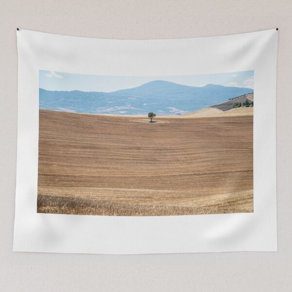 Item preview, Tree in Val D Orcia designed and sold by pietrofoto.