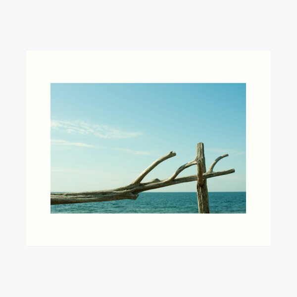 Gotland Art Print