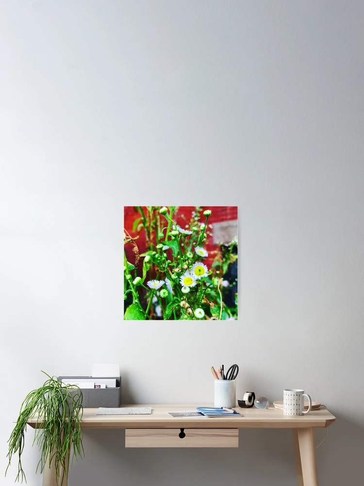 Thumbnail 2 of 3, Poster, Christmas In July designed and sold by Liz Bajo Designs.