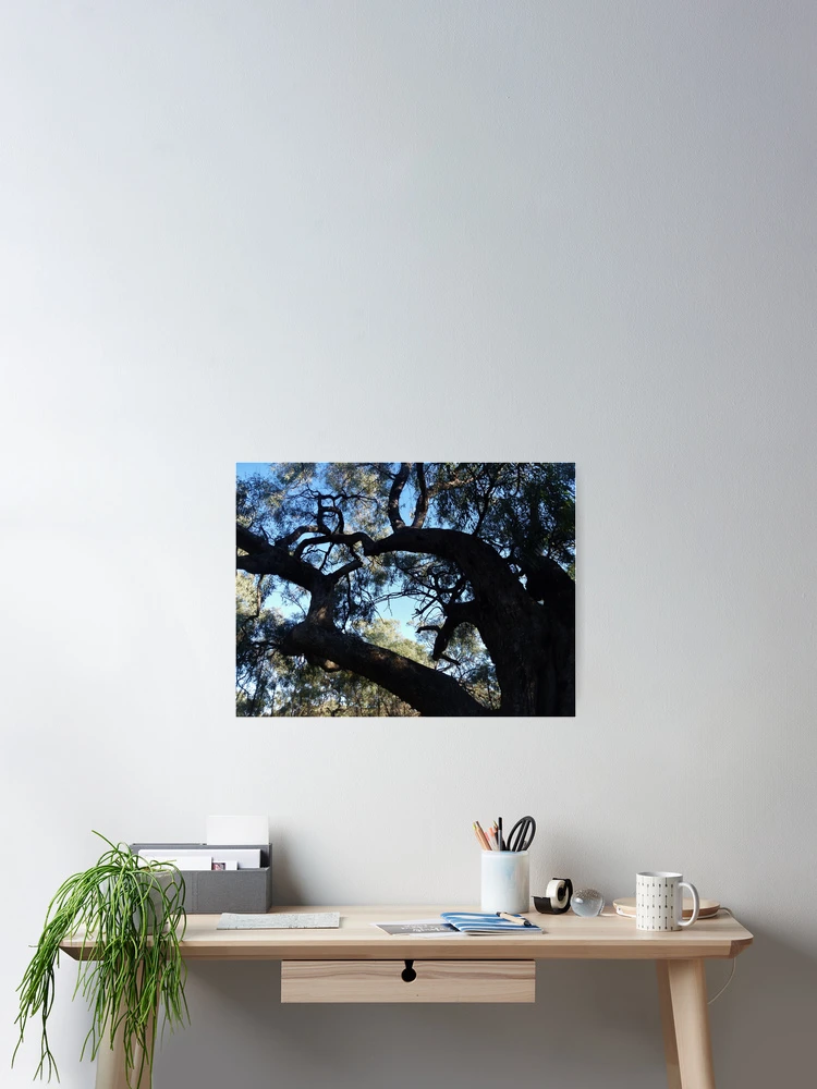 Thumbnail 2 of 3, Poster, Scar Tree designed and sold by Digby.