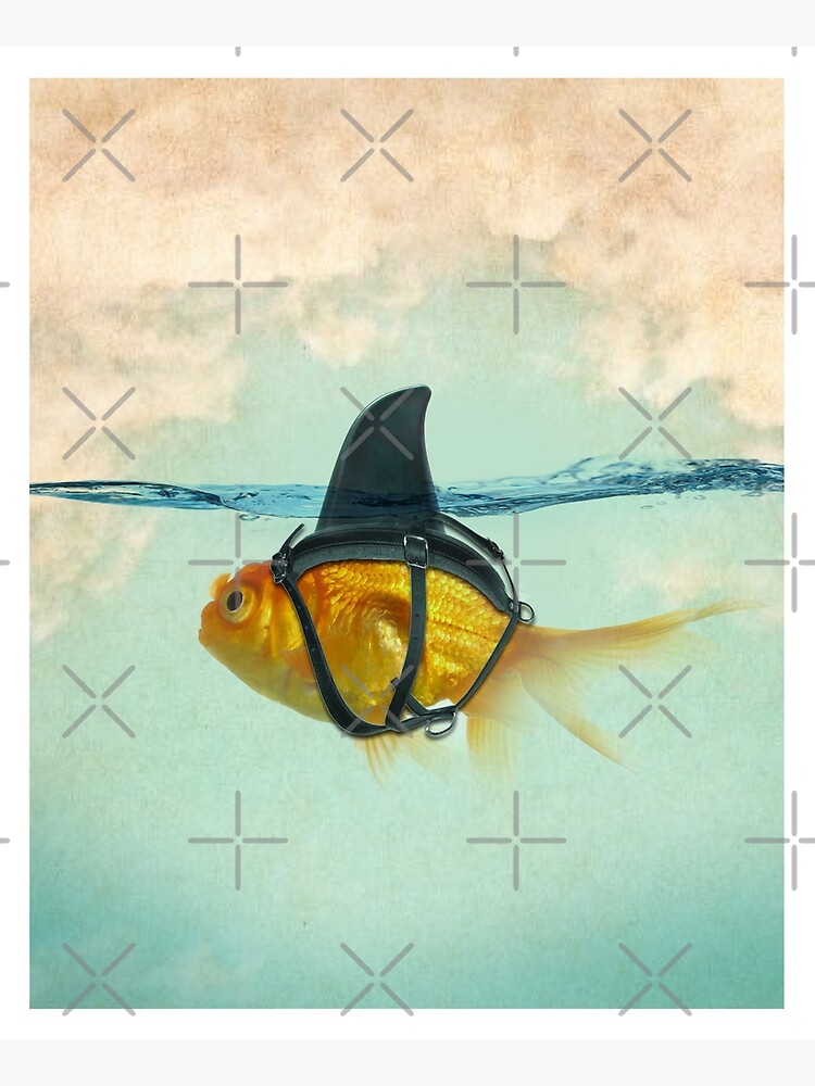 brilient disguise, goldfish with a shark fin by vinpez
