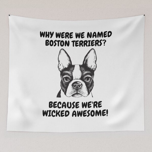 Item preview, Why Were We Named Boston Terriers? designed and sold by MRCoopGroup.