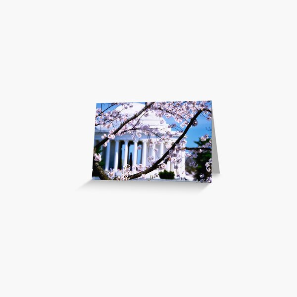 Jefferson Memorial Cherry Blossoms Greeting Card