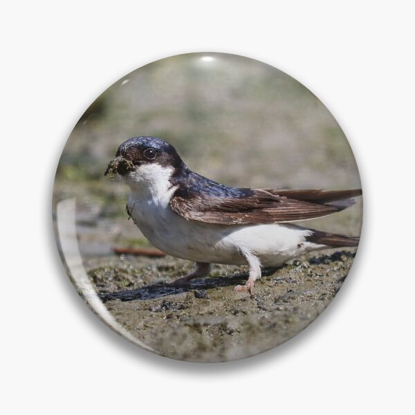 Item preview, A beak full of mud designed and sold by GreyFeatherPhot.