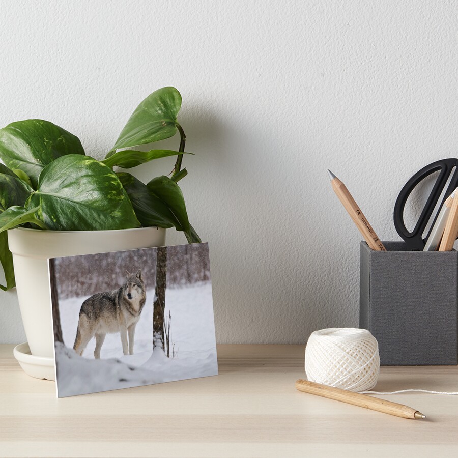 Item preview, Art Board Print designed and sold by WolvesOnly.