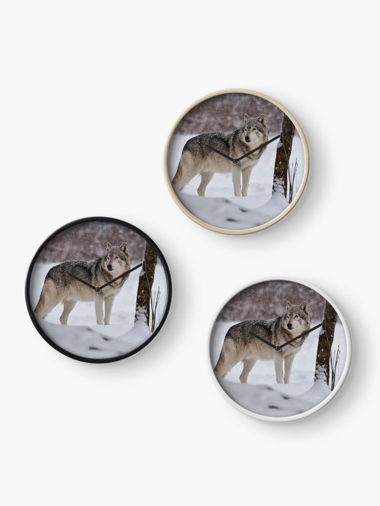 Thumbnail 3 of 4, Clock, Timber Wolf designed and sold by WolvesOnly.