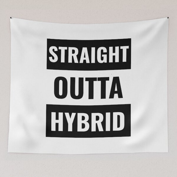 Item preview, Hybrid School for Teachers and Kids designed and sold by Not A Typical  Teacher.