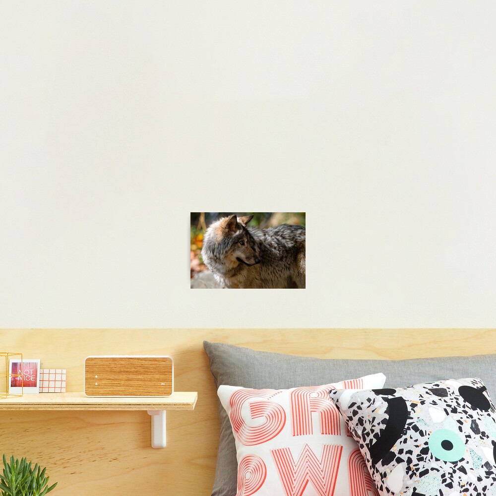 Vista previa del artículo con la obra «Lámina fotográfica», diseñado y vendido por WolvesOnly.