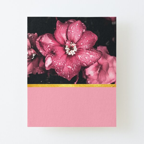 Pink flowers 2 Canvas Mounted Print
