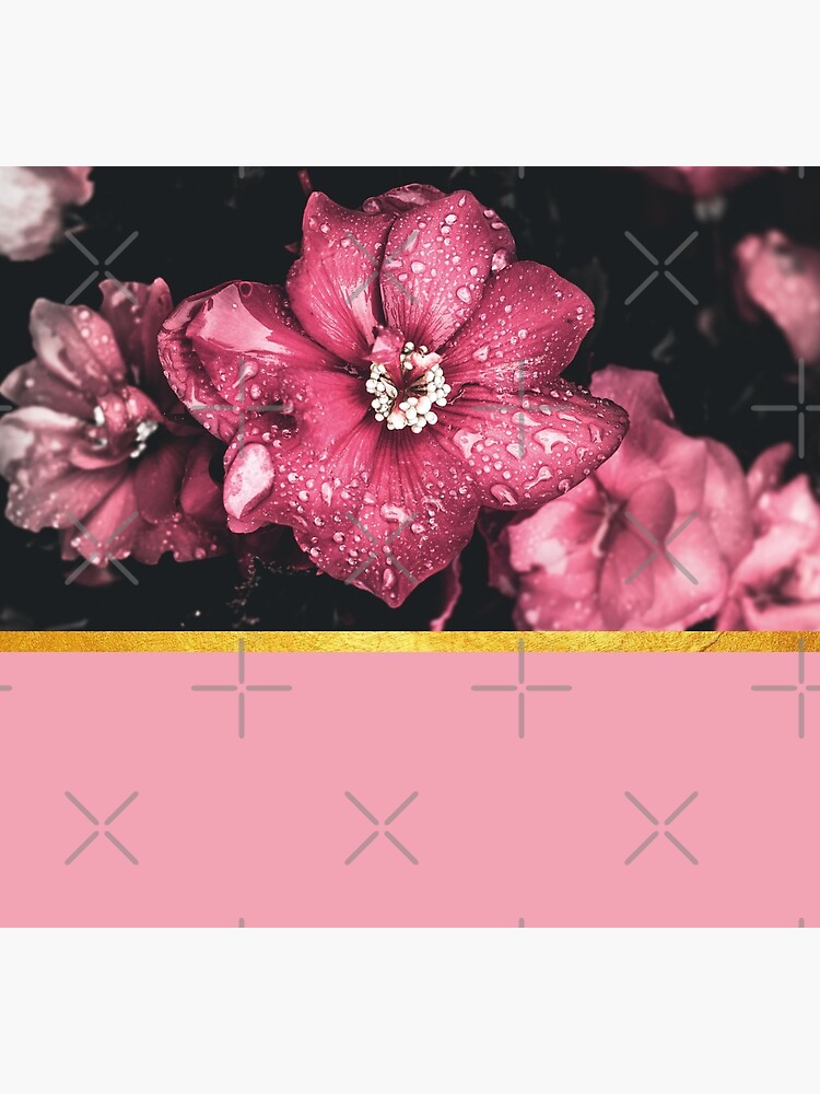 Pink flowers 2 by ColorsHappiness