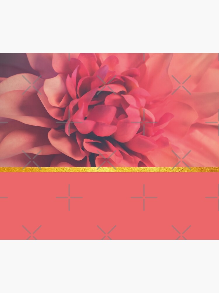 Beautiful pink flower composition by ColorsHappiness