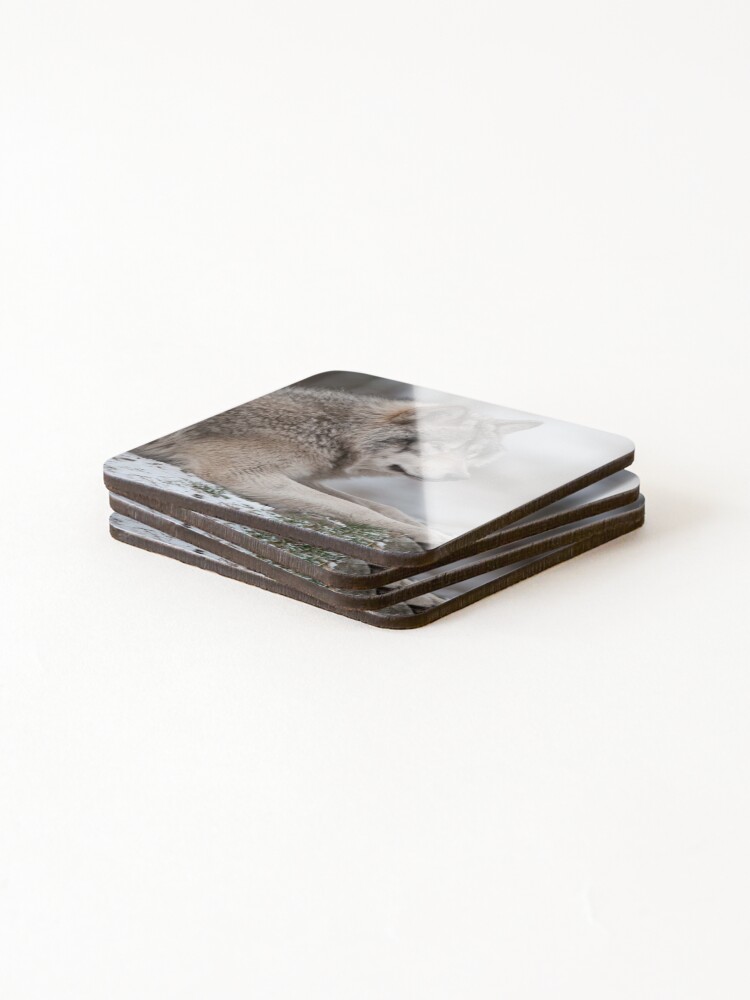 Thumbnail 4 of 5, Coasters (Set of 4), Timber Wolf designed and sold by WolvesOnly.