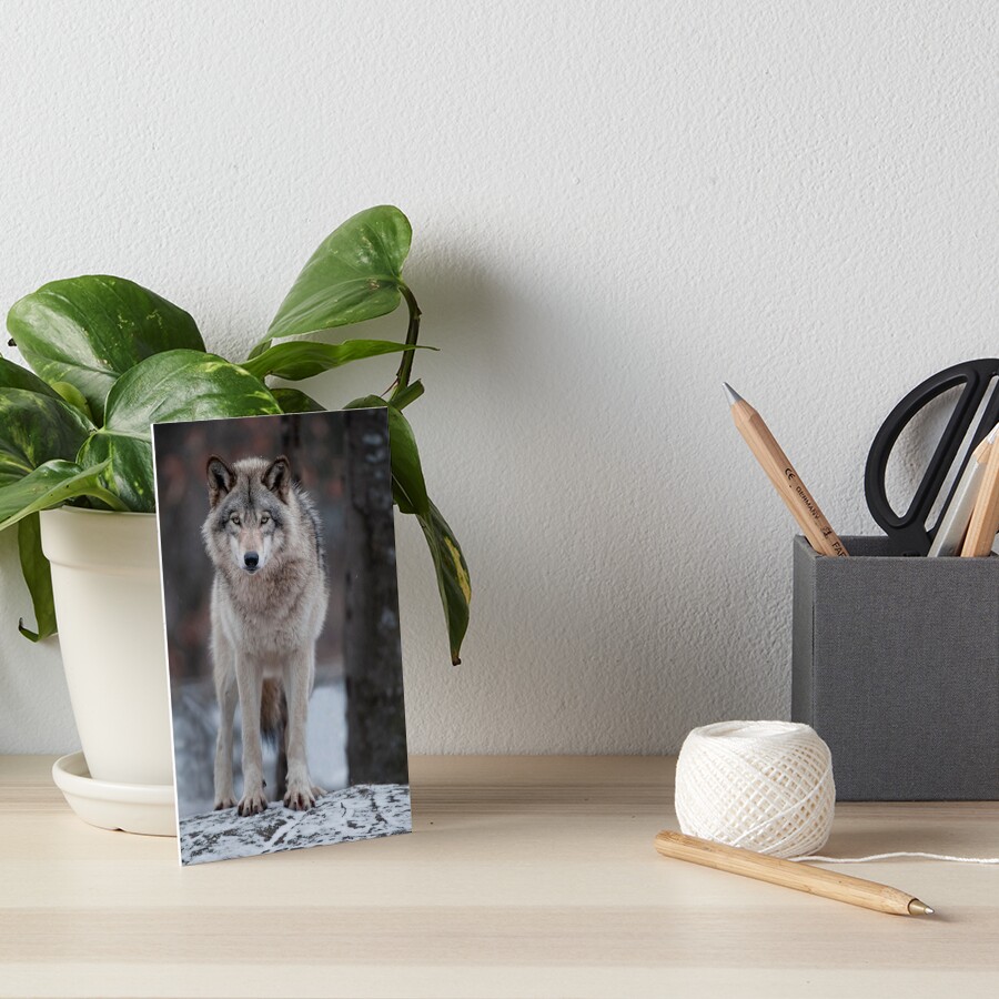 Item preview, Art Board Print designed and sold by WolvesOnly.