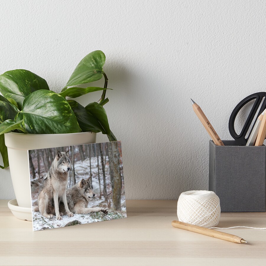 Item preview, Art Board Print designed and sold by WolvesOnly.