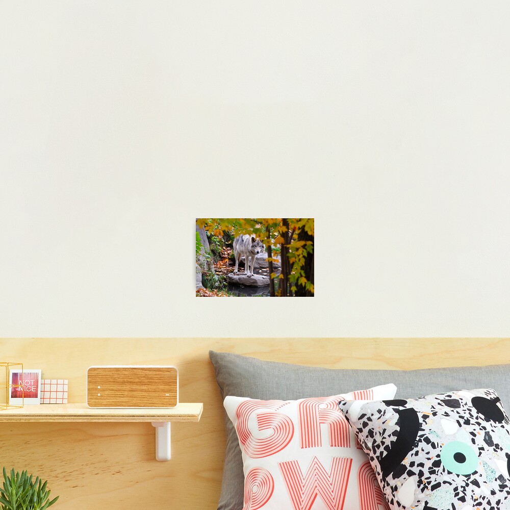 Vista previa del artículo con la obra «Lámina fotográfica», diseñado y vendido por WolvesOnly.