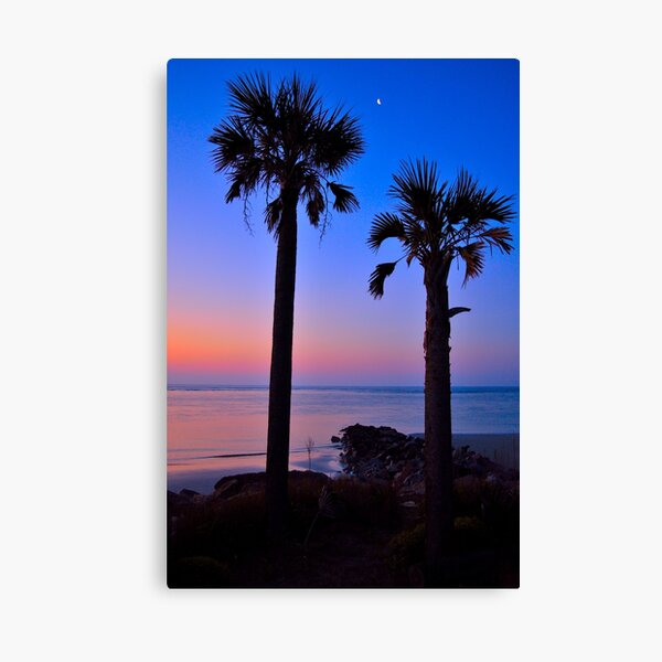 Palm and Moon over Water Canvas Print