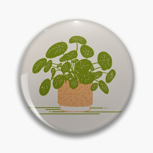 Item preview, Pancake Plant (Pilea peperomioides) x magic designed and sold by RebeccaCeleste.