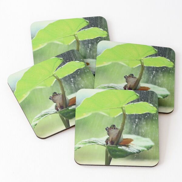 Item preview, Nice Frogs pets animals sweet cute raining designed and sold by Coolstuff4you71.